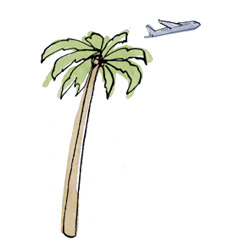 palm tree illustration