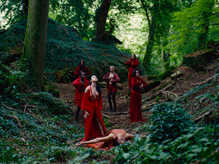 A group of women in red cloaks stand in a forest