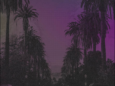 Silhouettes of LA Palm trees against a purple sky