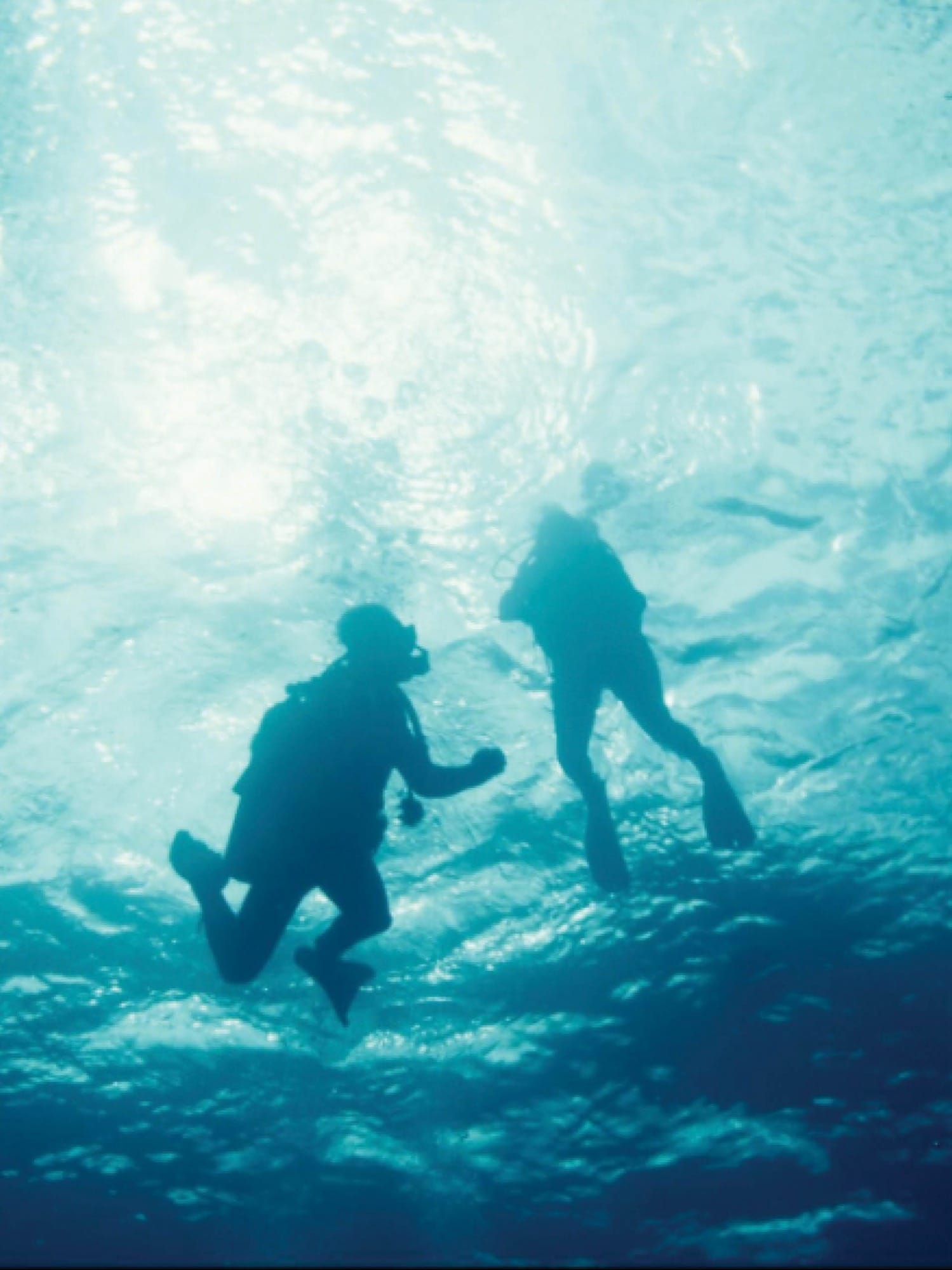 In Focus The Way of Water Film, screening event at NeueHouse Venice Beach